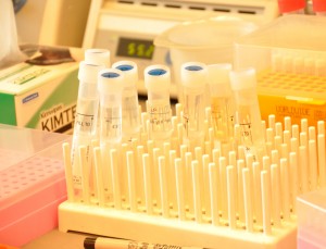 The importance of research experience according to one med student.