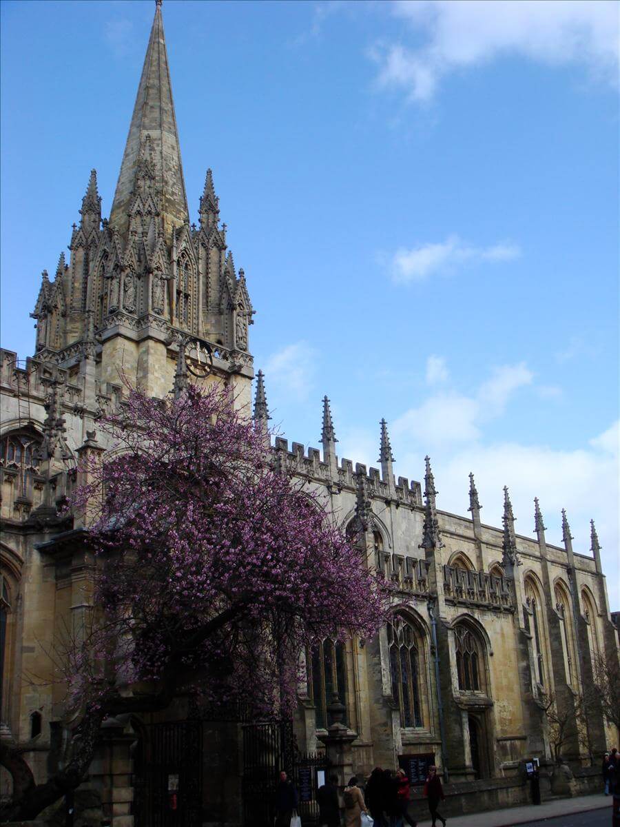 oxford said essays 2012 Oxford (said) 2012 - calling all work hard on your essays would you have any placement statistics for people who have entered the oxford said. oxford said essays 2012 Oxford (said) 2012 - calling all work hard on your essays would you have any placement statistics for people who have entered the oxford said.