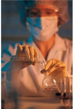 Research Experience