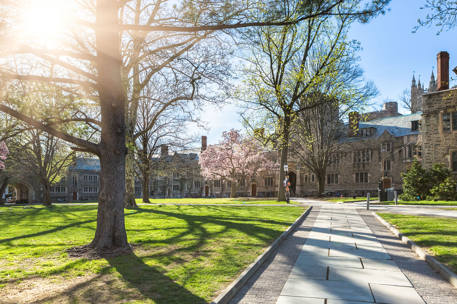 25 New Princeton University Academic Calendar - Free Design