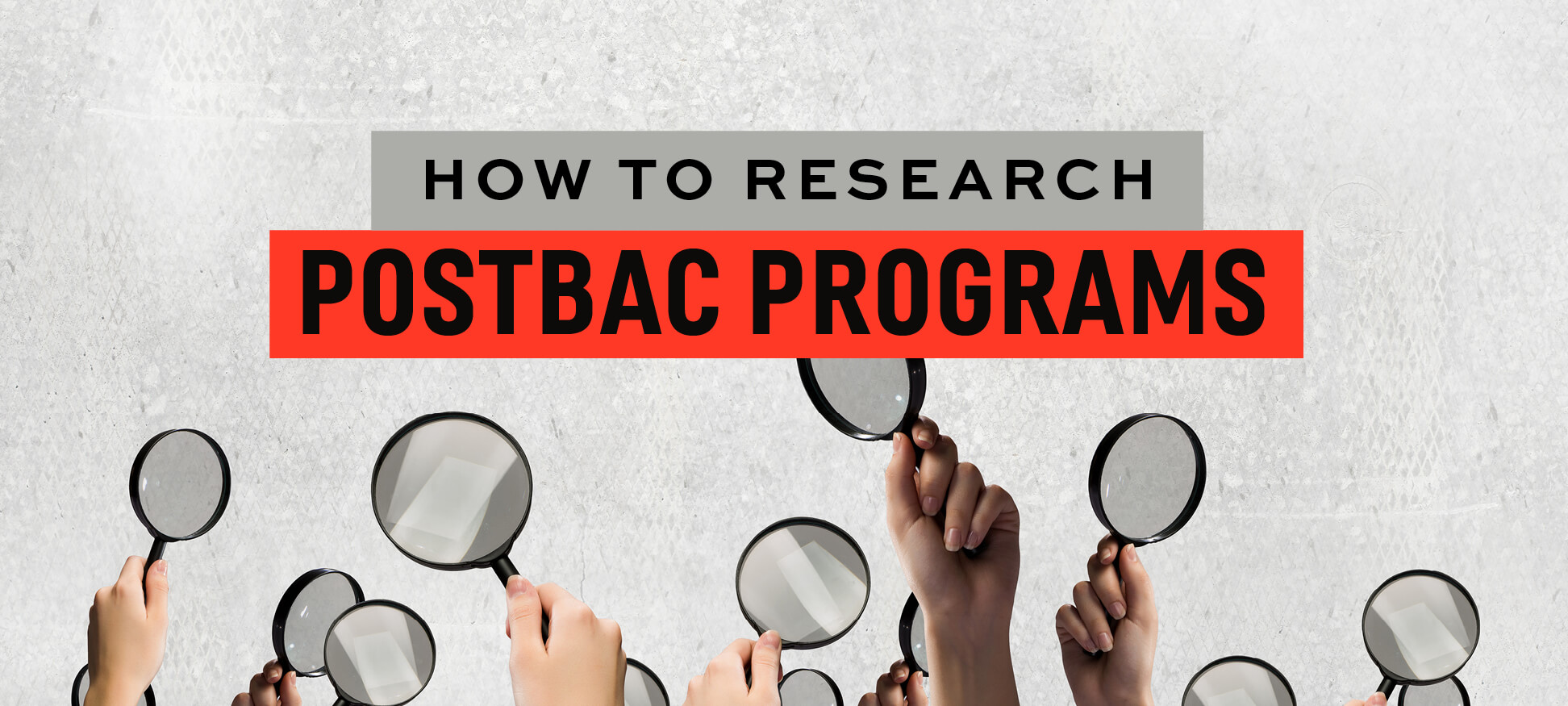 Download your free guide to applying successfully to postbac programs!