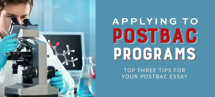 applying program essay applying program essay