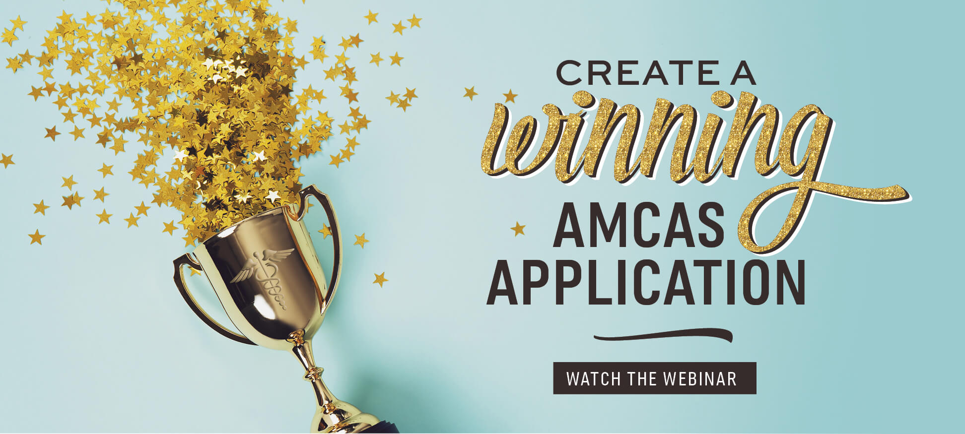 Create a Winning AMCAS Application Webinar [Watch OnDemand!]