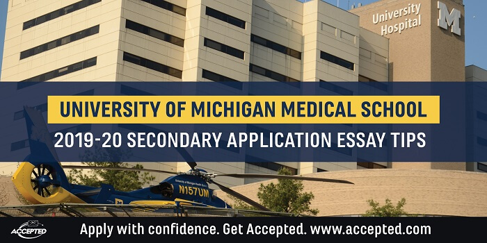 Michigan state university application essay