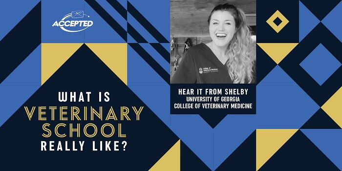 Vet student interview with Shelby