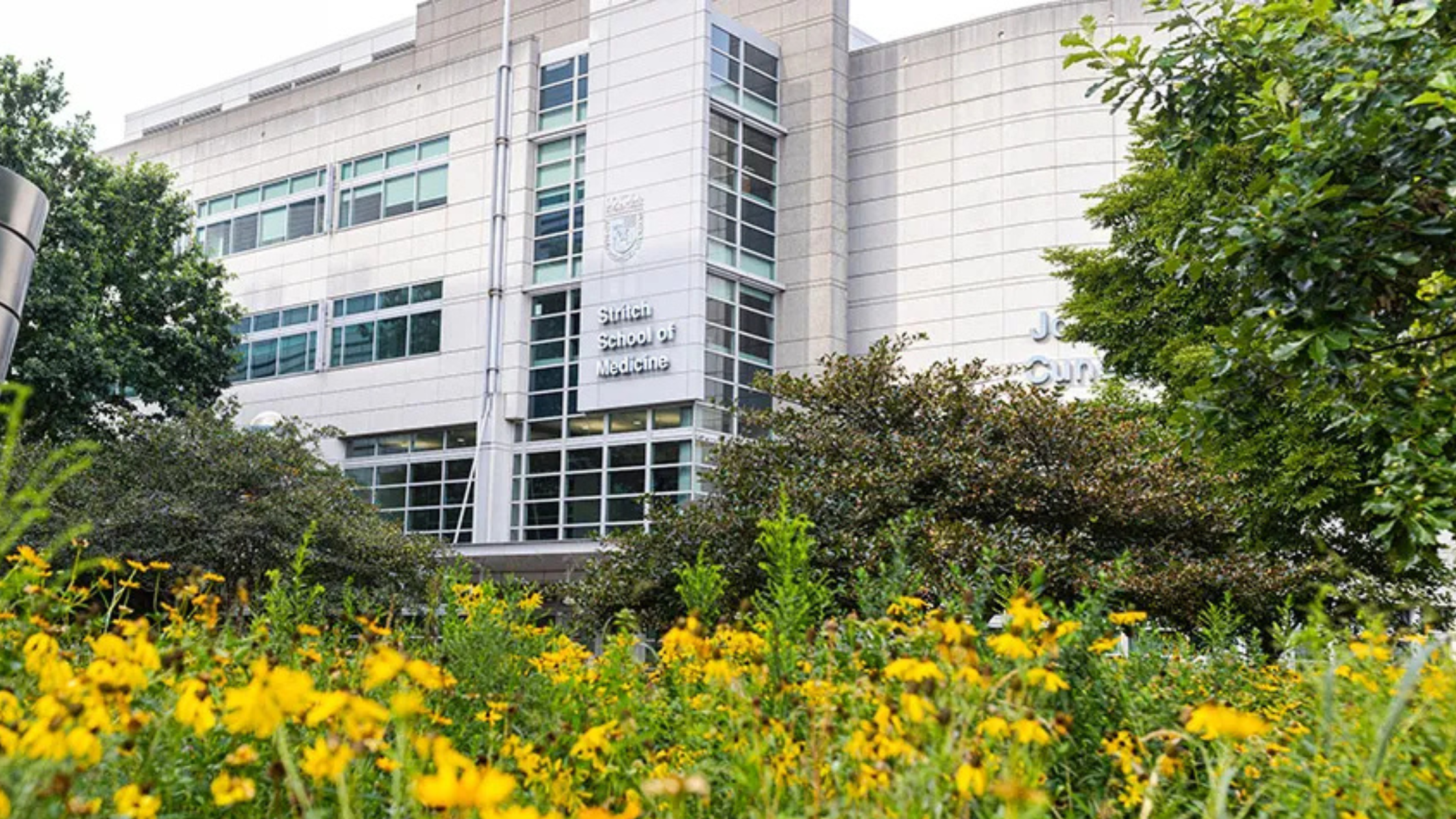 Loyola Stritch School of Medicine