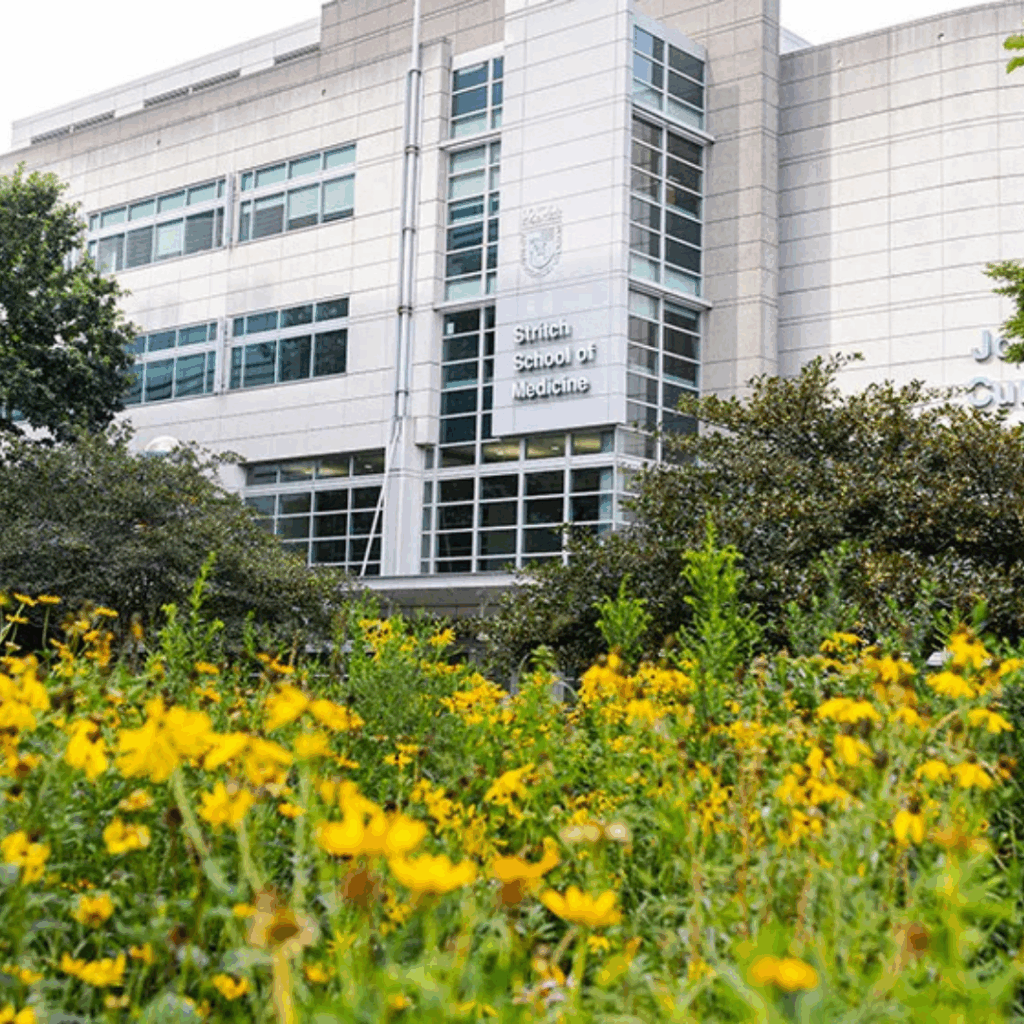loyola stritch school of medicine