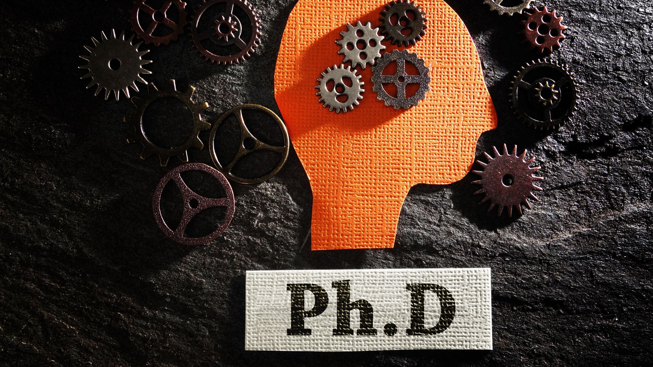 Applying to PhD Programs: Why, How, When, and Where?