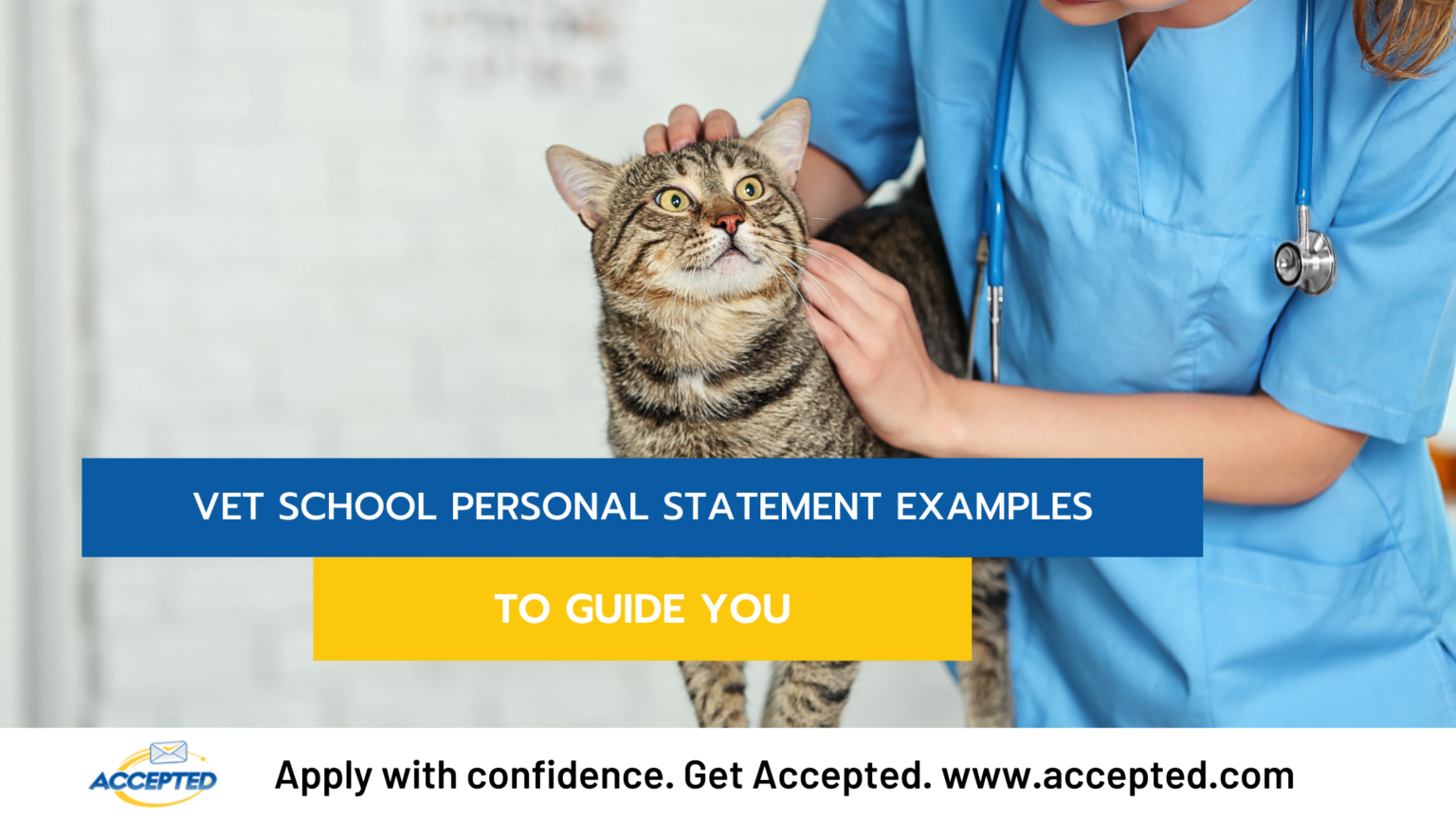 veterinary vet school personal statement