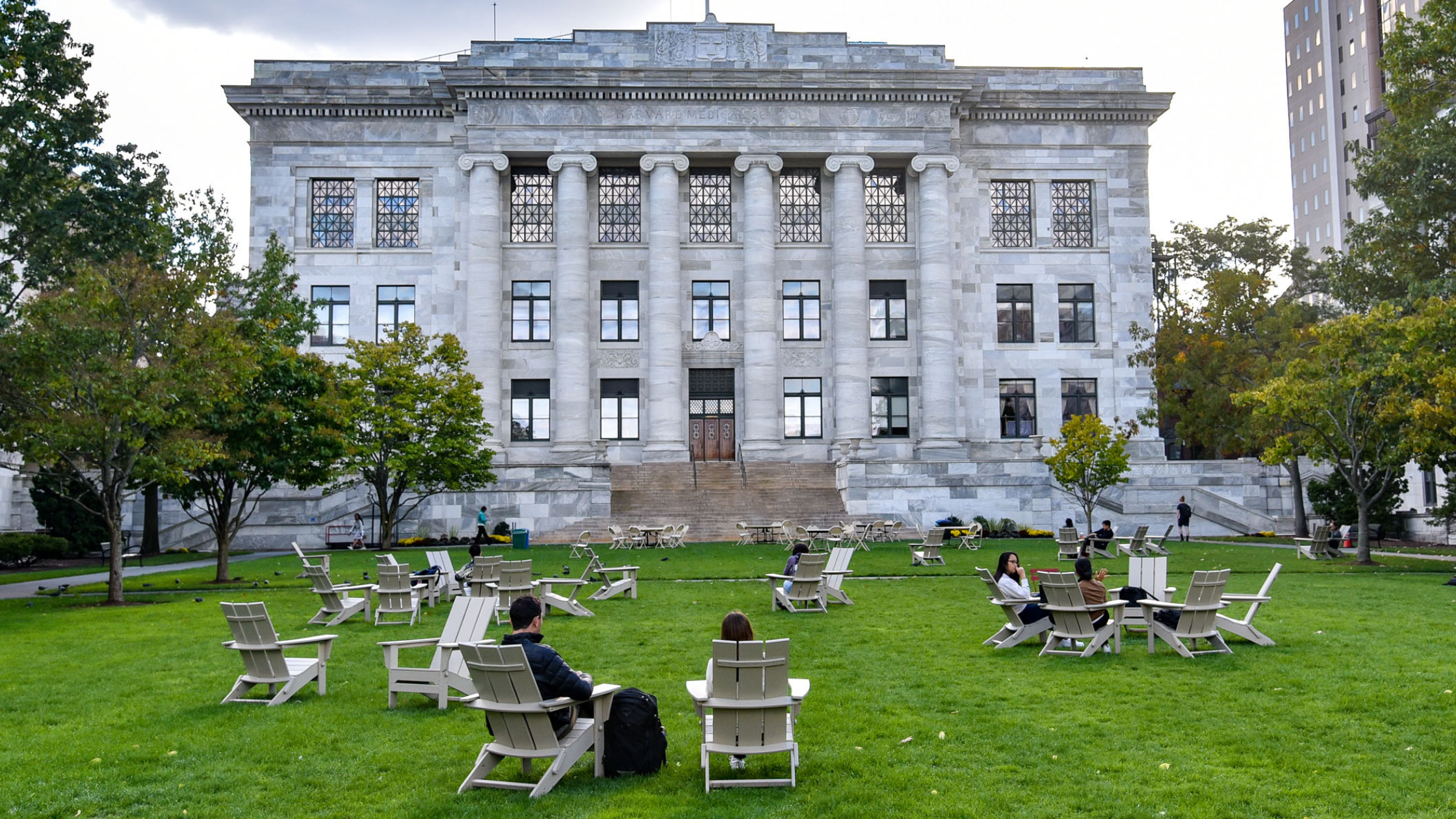Harvard Medical School