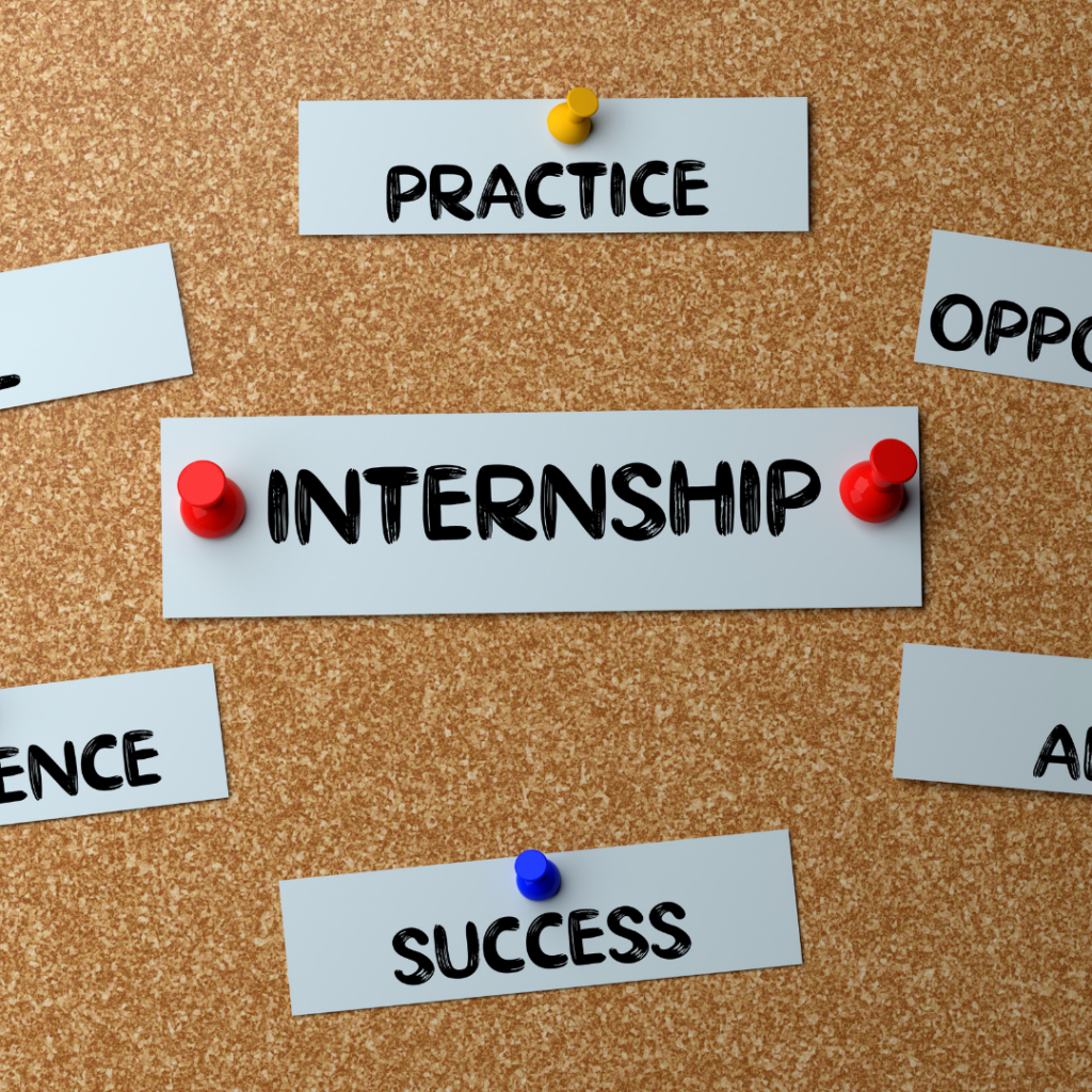 Law school summer internship
